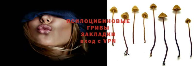 эйфоретик Ладушкин